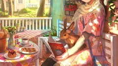 Multicolor food room rabbits