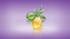 Multicolor fruits digital art