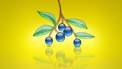 Multicolor fruits digital art