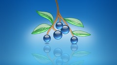 Multicolor fruits digital art