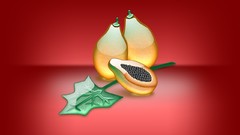 Multicolor fruits digital art