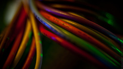 Multicolor macro wires