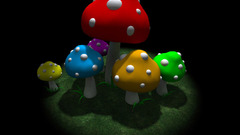 Multicolor mushrooms