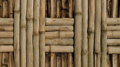 Multicolor patterns bamboo Textures