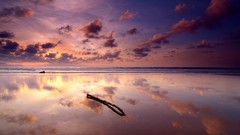 Multicolor skyscapes