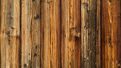 Multicolor Wood patterns Textures