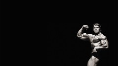 Muscles arnold schwarzenegger bodybuilding