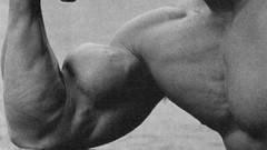 Muscles arnold schwarzenegger muscular