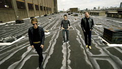 Muse