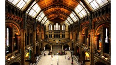 Museum History cityscapes