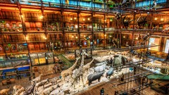 Museum History natural