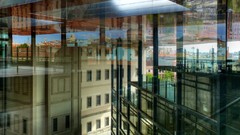 Museum madrid Martin Weinreich