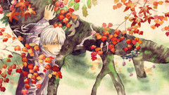 Mushishi artwork