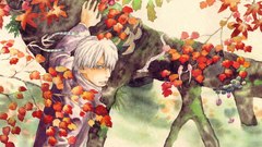 Mushishi Ginko