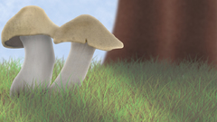 Mushroom New oc that