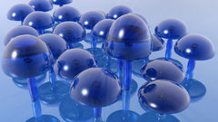 Mushroom subject man just