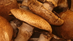 Mushrooms