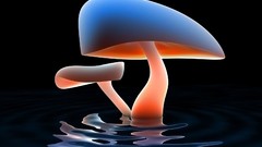 Mushrooms abstract ripples