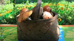 Mushrooms baskets