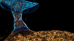 Mushrooms bitch some This get let