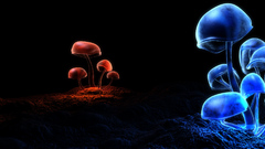 Mushrooms digital art