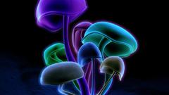 Mushrooms digital Art