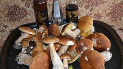 Mushrooms drinks food art