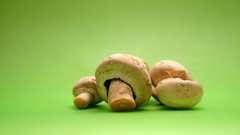 Mushrooms food Plants green background Simple Background