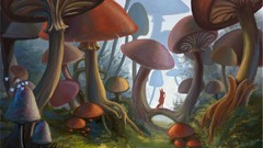 Mushrooms forests