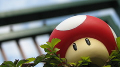 Mushrooms Mario