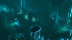 Mushrooms the elder scrolls v skyrim caves