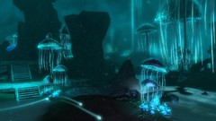 Mushrooms the elder scrolls v skyrim caves