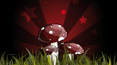 Mushrooms vector art
