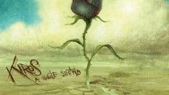 Music 2008 album covers