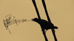 Music abstract spring