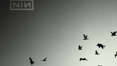 Music Album nails ghosts nine bands inch nin