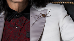 Music Alice Cooper Music