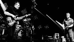 Music band concert guitars them crooked vultures bass Dave 