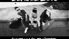 Music bands beastie boys
