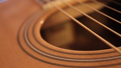 Music close-up guitars acoustic guitars Taylor guitars