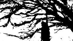 Music death nails album covers hardcore music