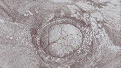 Music Earth album covers