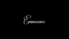 Music evanescence band
