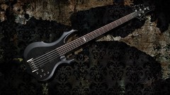 Music guitars bass bass guitars