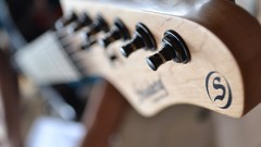 Music guitars guitarists