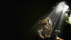 Music headphones jungle Audio jaguars