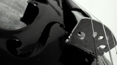 Music instruments violins