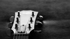 Music monochrome acoustic guitars