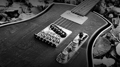 Music monochrome guitars