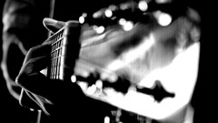 Music monochrome guitars guitarists
